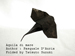 Photo Origami Batoidea (Aquila di mare) Author : Pasquale D’Auria, Folded by Tatsuto Suzuki